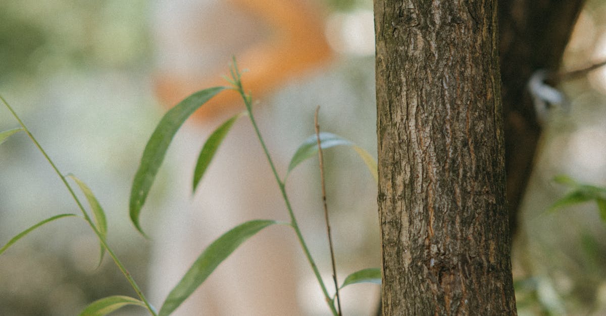 Benefits of Proactive Electrical Maintenance for Businesses