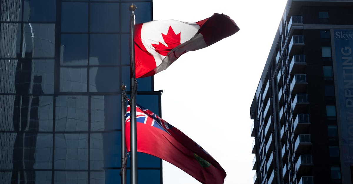 Case Studies: Successful Implementation of Renewable Energy in Brisbane Commercial Properties