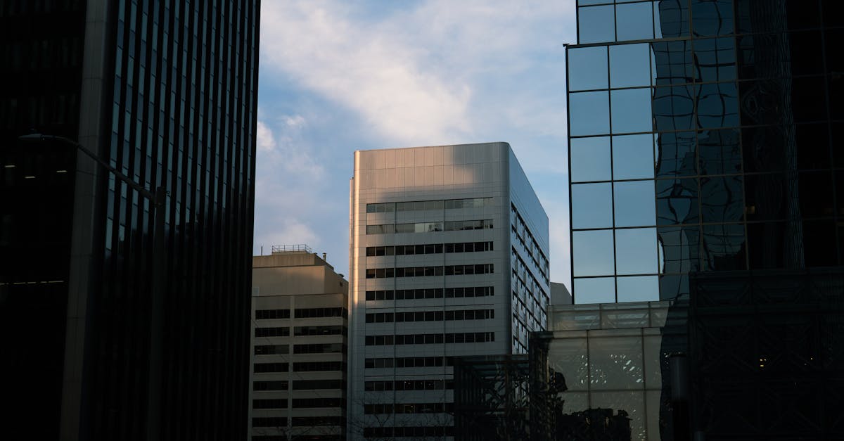 Effective Insulation Strategies to Improve Energy Performance in Offices